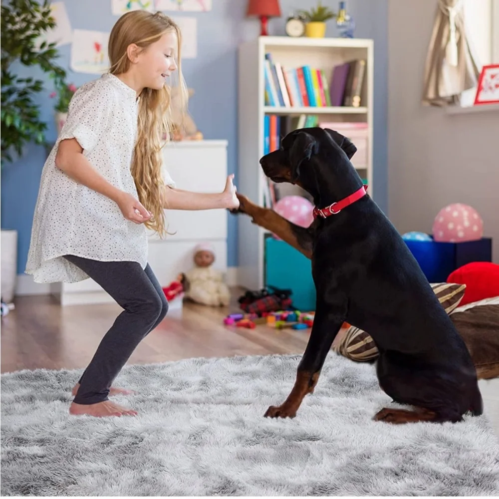 Brand new Fluffy Shag Area Rugs 5x7